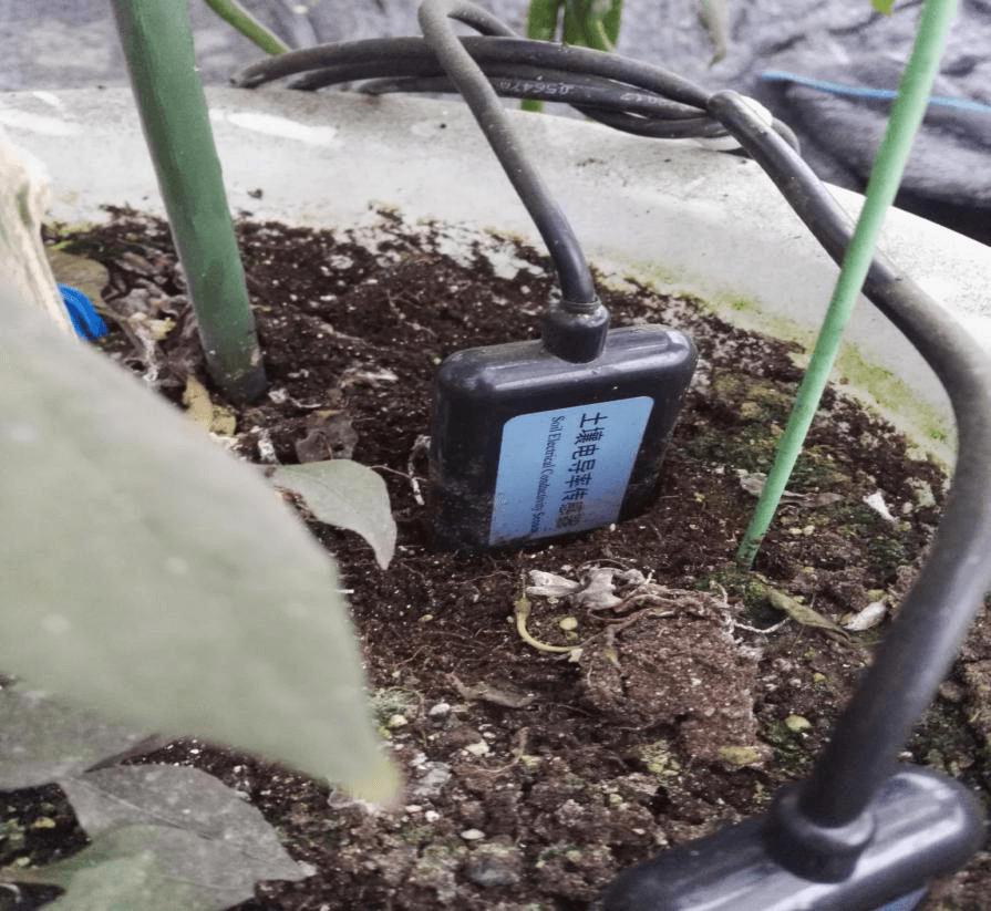 智慧農(nóng)業(yè)遠(yuǎn)程云監(jiān)測系統(tǒng)